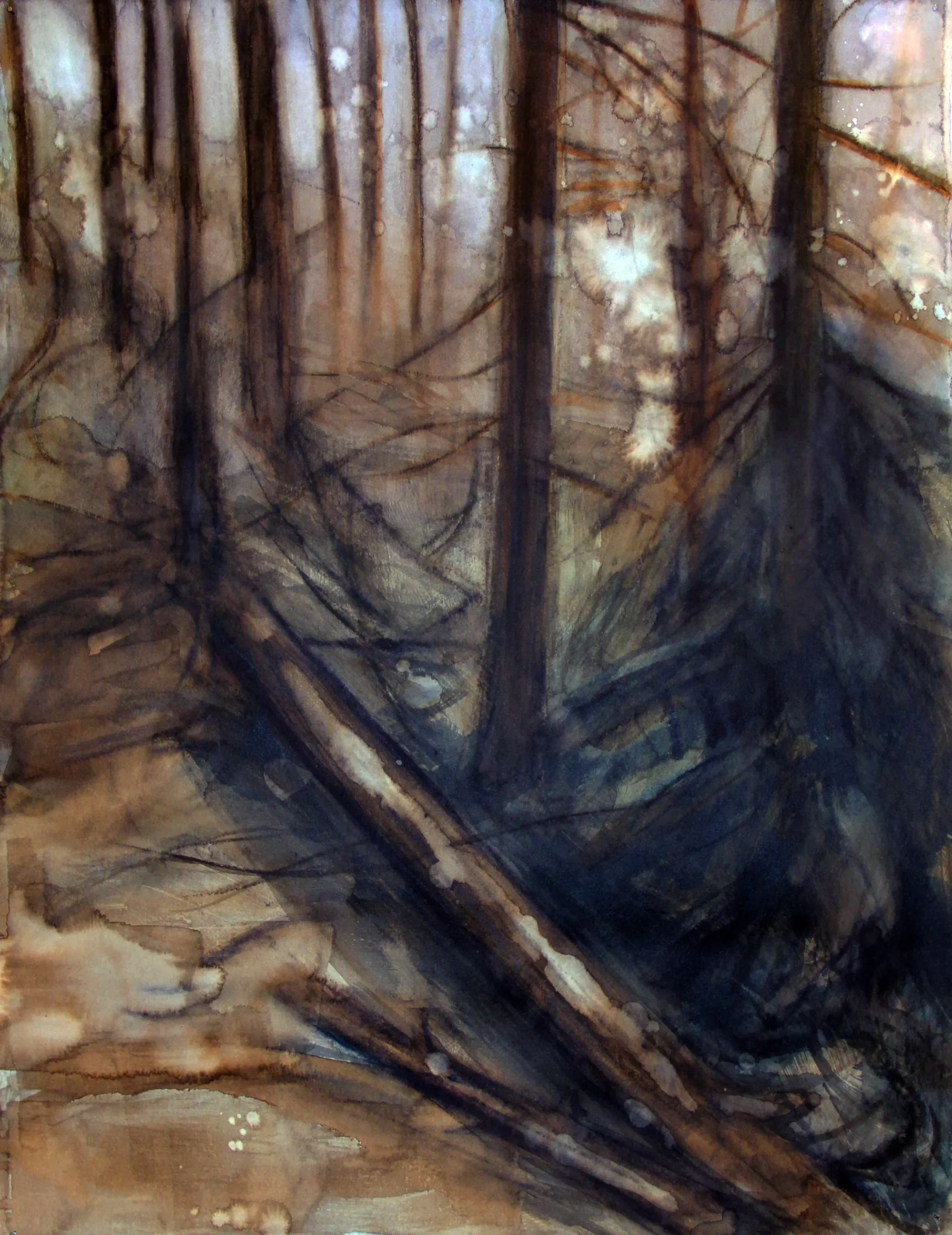 Árbol caído.
Acuarela sobre papel 240g., 65 x 50 cm