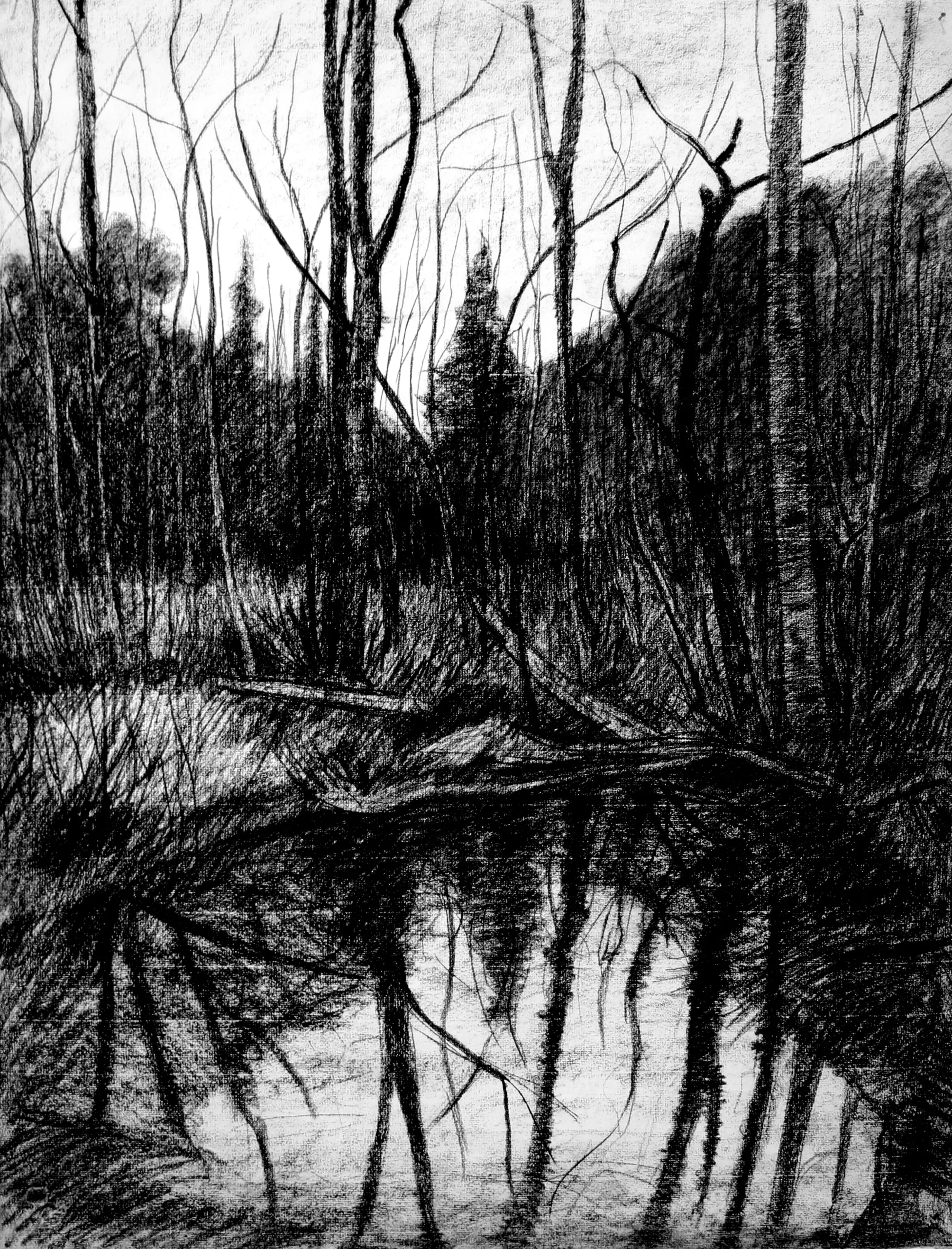 Como espejo.
Dibujo sobre Papel verjurado 100 g.,  64 x 48 cm