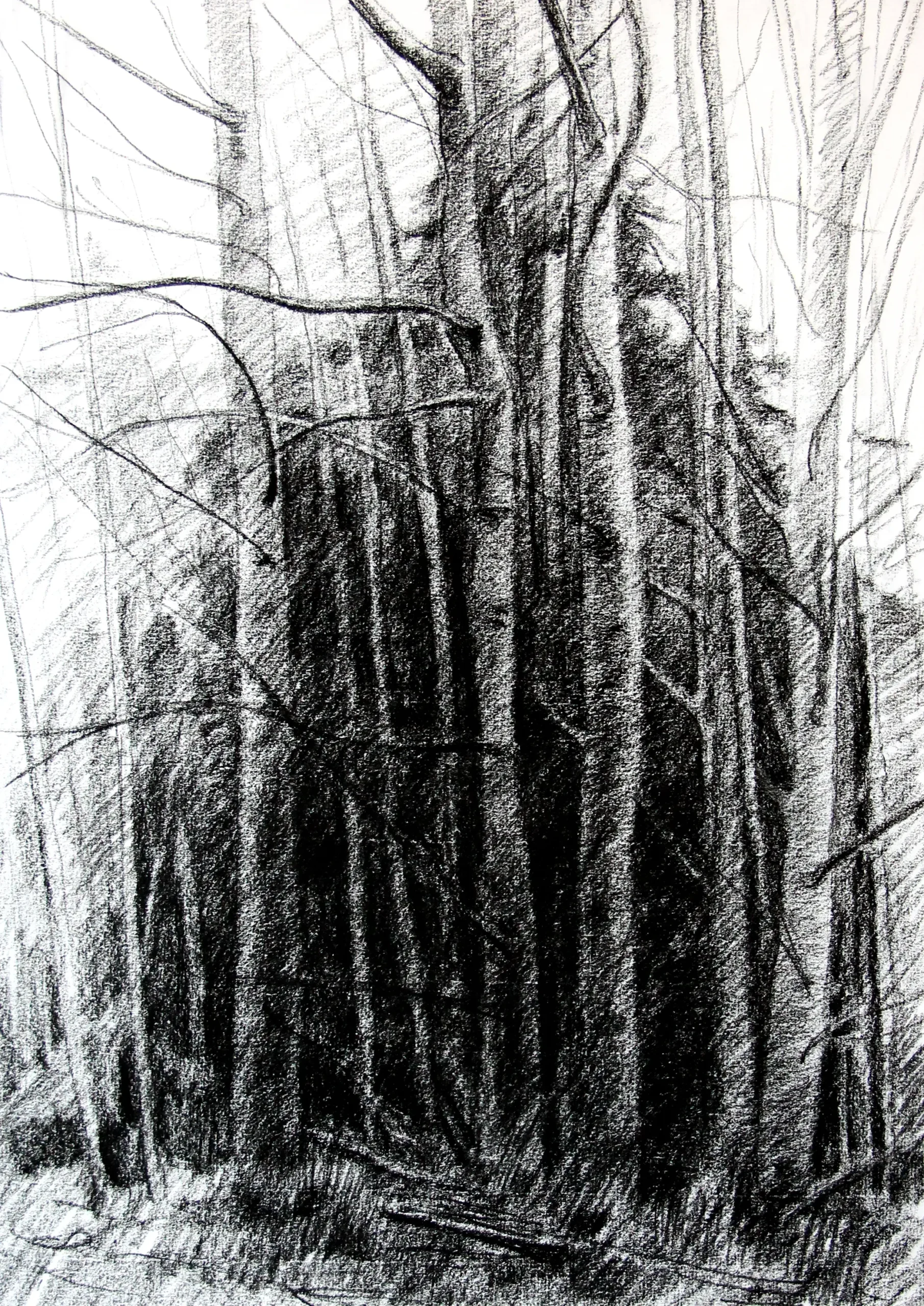 Dibujo I
Papel Verjurado 108 g/m2,
32,5 x 46 cm
