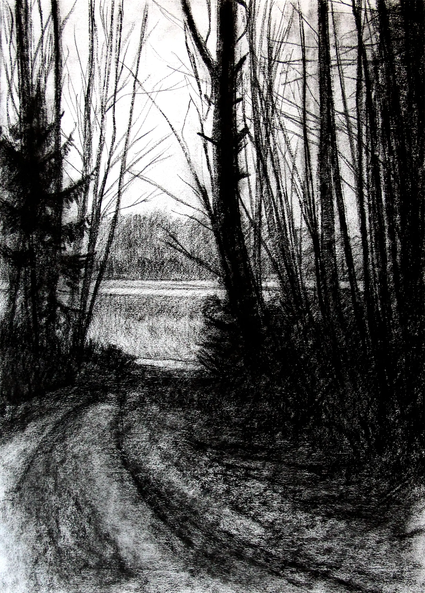 Dibujo X.
Papel Verjurado 108 g/m2, 
32,5 x 46 cm
