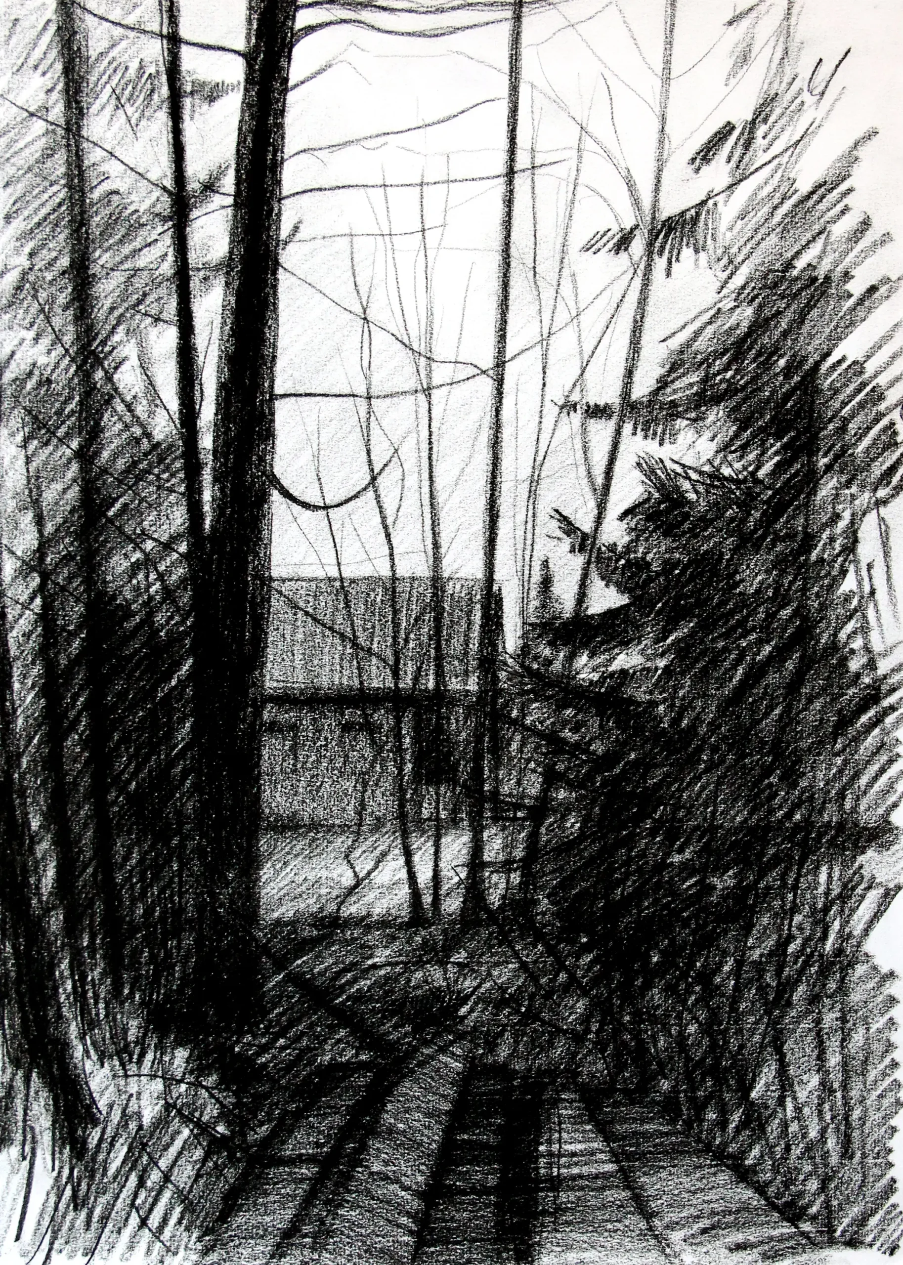 Dibujo II.
Papel Verjurado 108 g/m2, 
32,5 x 46 cm

