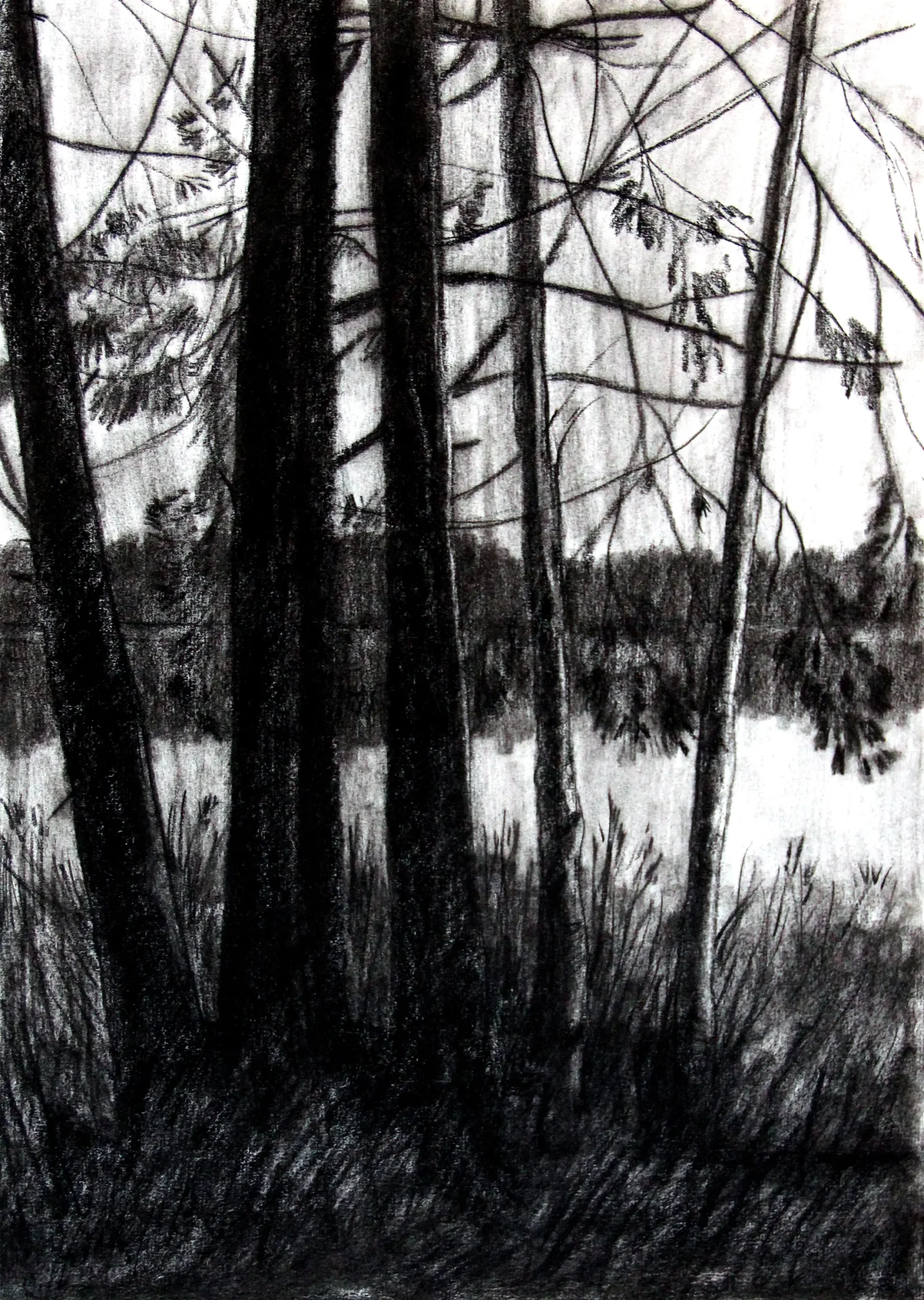 Dibujo III.
Papel Verjurado 108 g/m2,
32,5 x 46 cm
