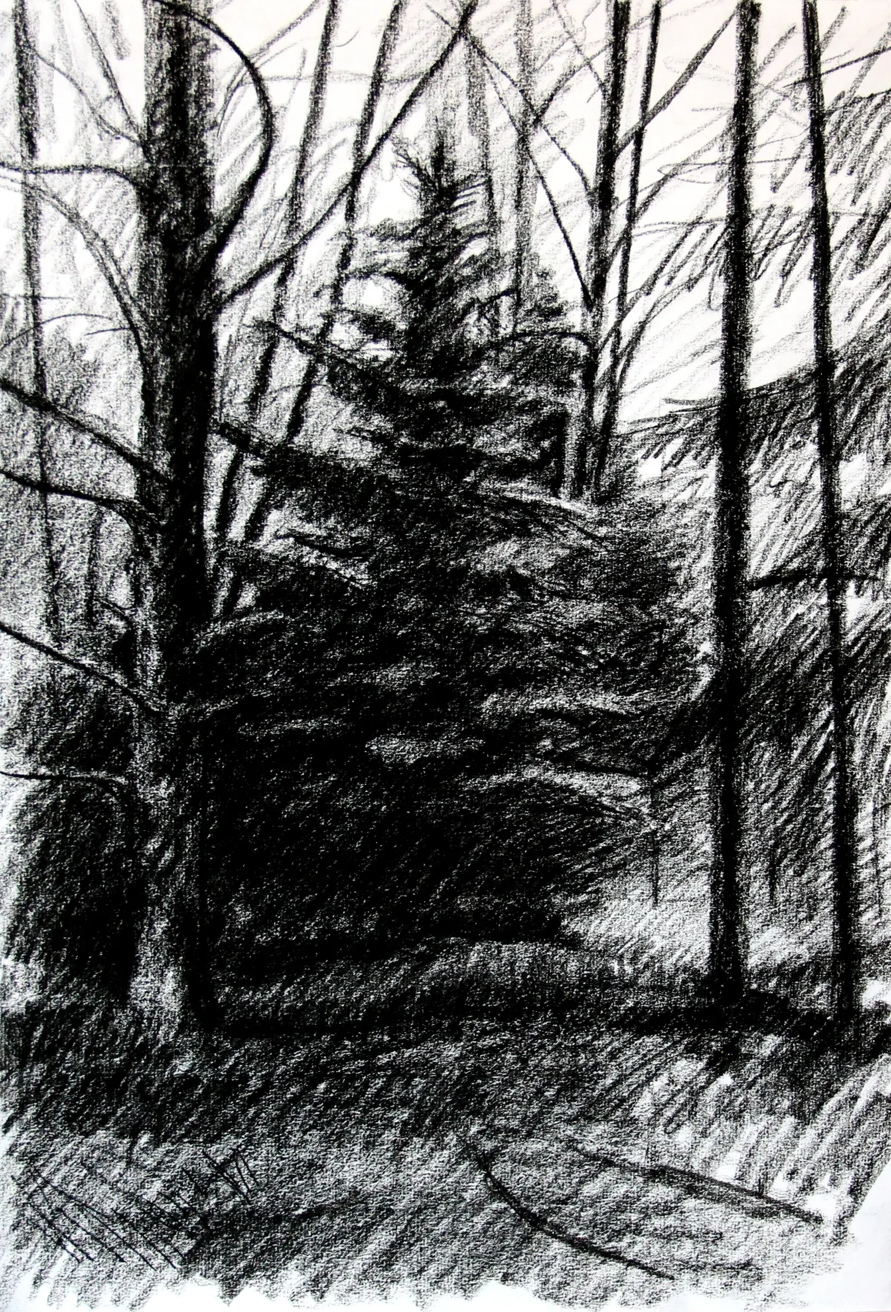 Dibujo IV.
Papel Verjurado 108 g/m2,
32,5 x 46 cm
