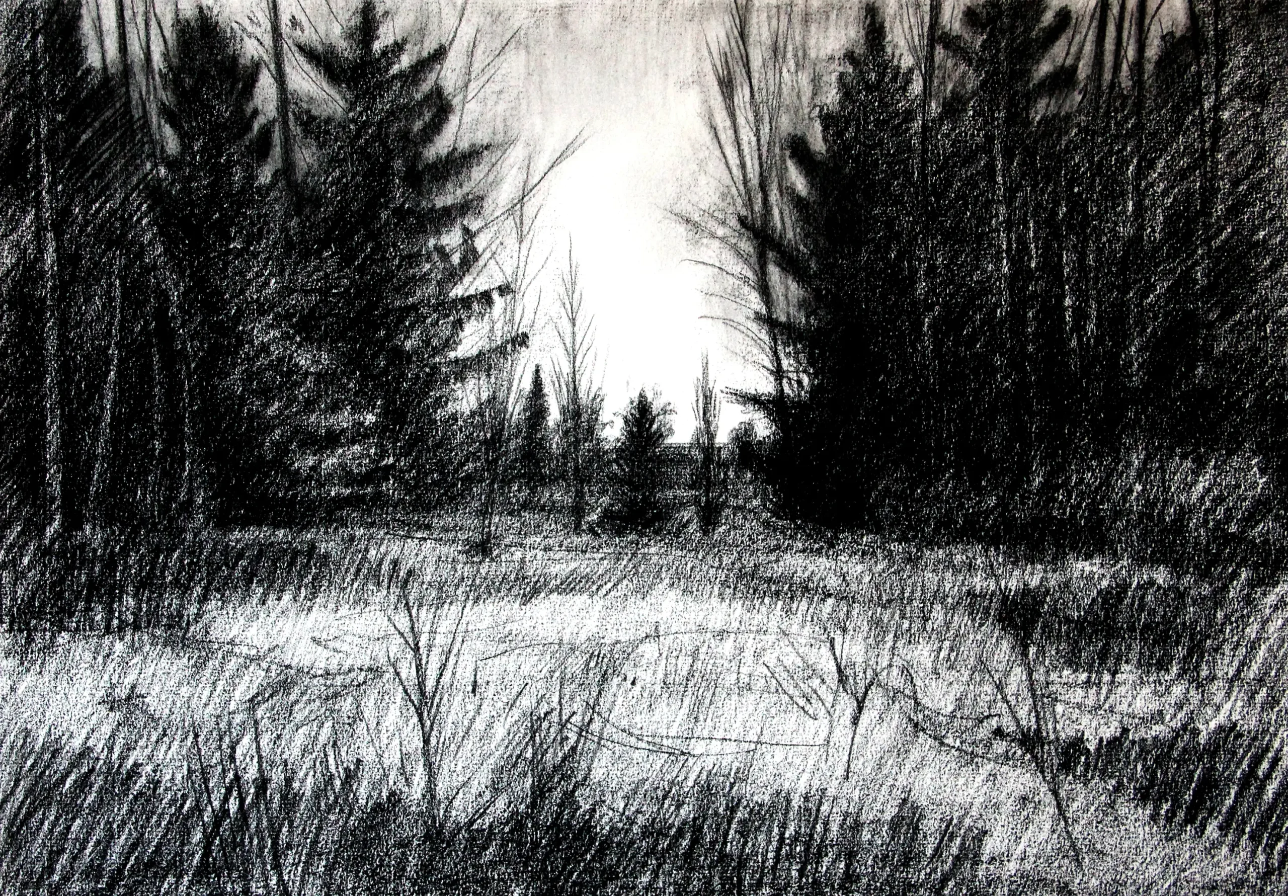 Dibujo VI.
Papel Verjurado 108 g/m2,
32,5 x 46 cm
