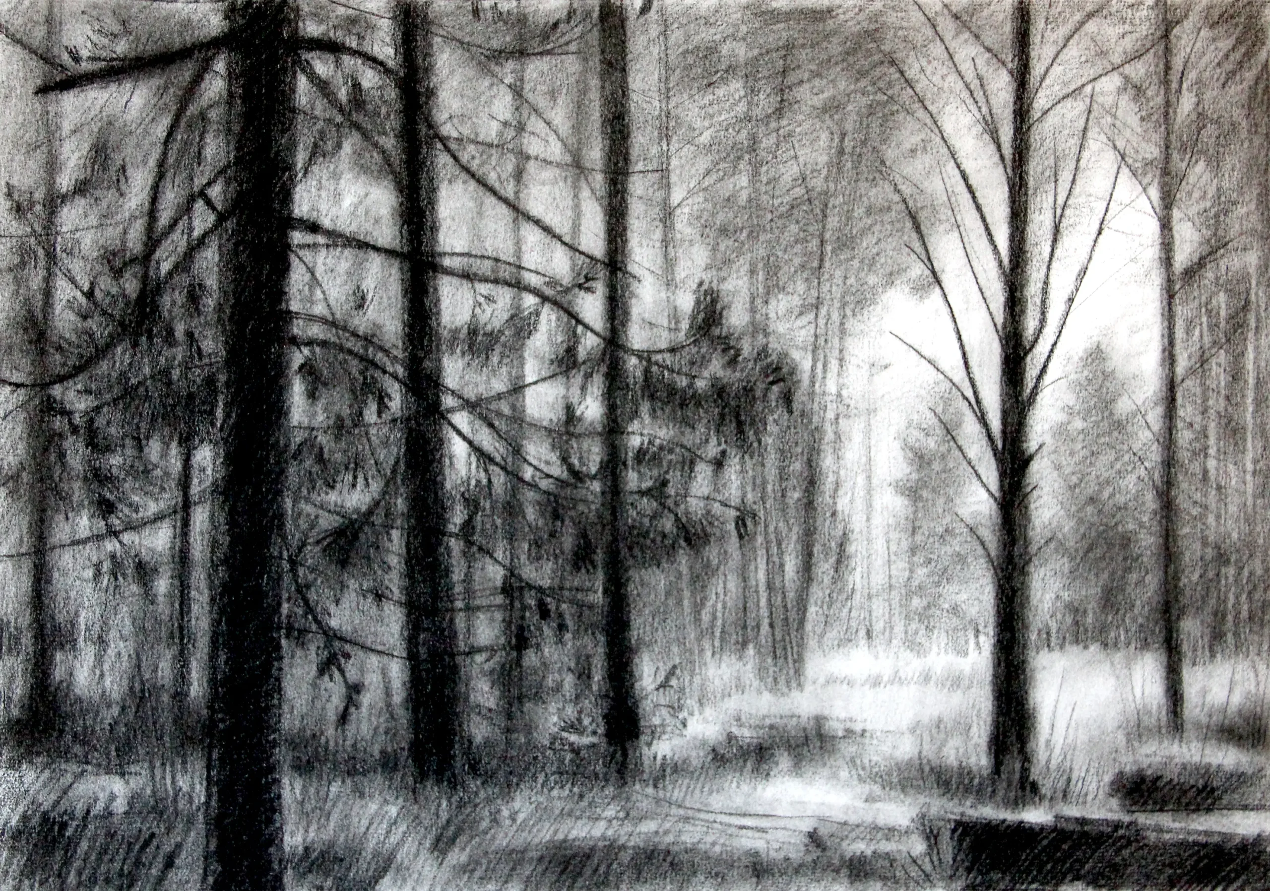 Dibujo VII.
Papel Verjurado 108 g/m2, 
32,5 x 46 cm
