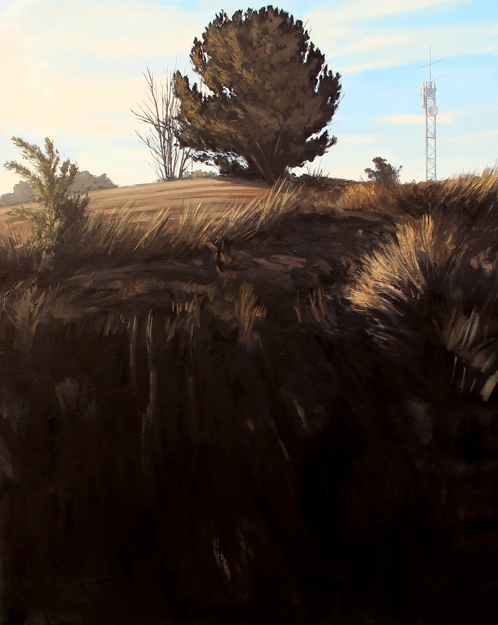 Pino Grande, 2018.
Óleo sobre lienzo, 100 x 81 cm