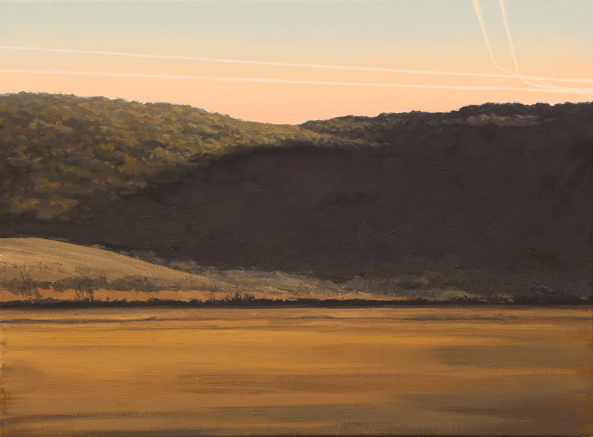 Sombra, 2018.
Óleo sobre lienzo, 54 x 73 cm
